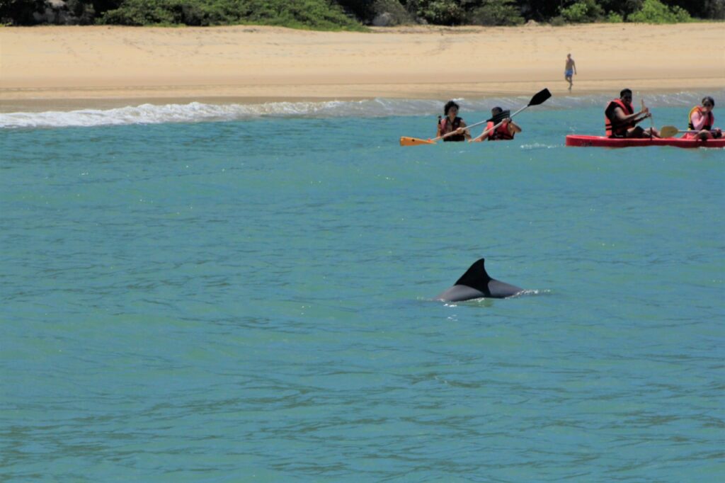 Baia dos Golfinhos