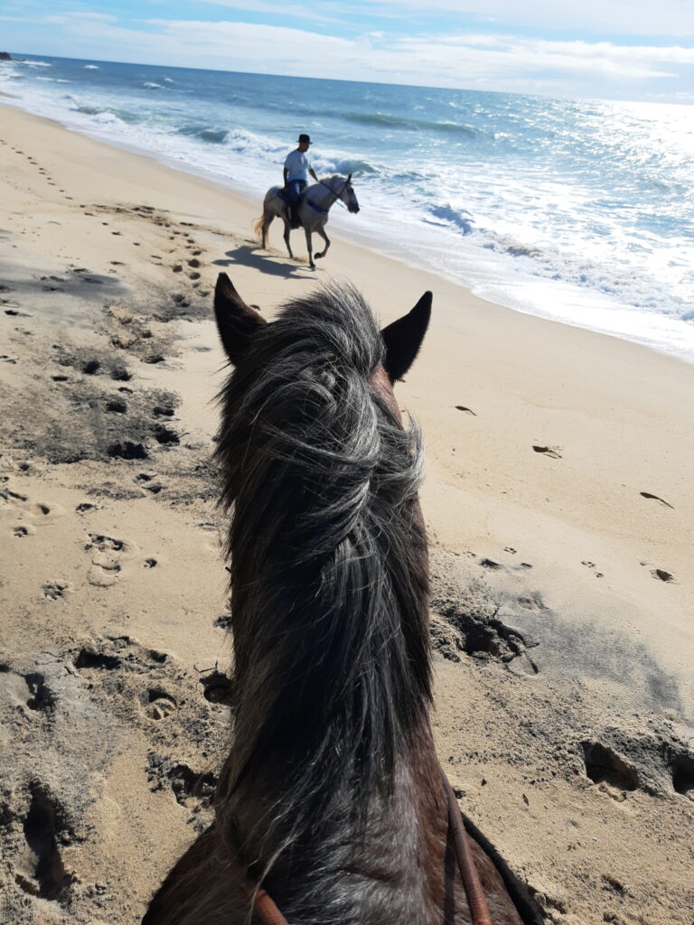 IMG_20210518_075700095