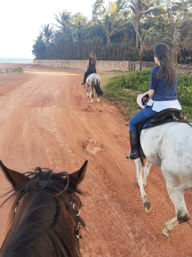 IMG_20210622_162633045