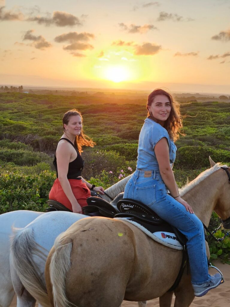 c14d476e-08de-467f-9c17-41ff10e9bd8f