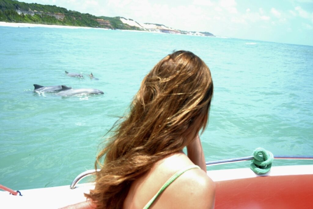 Visualizar Golfinhos